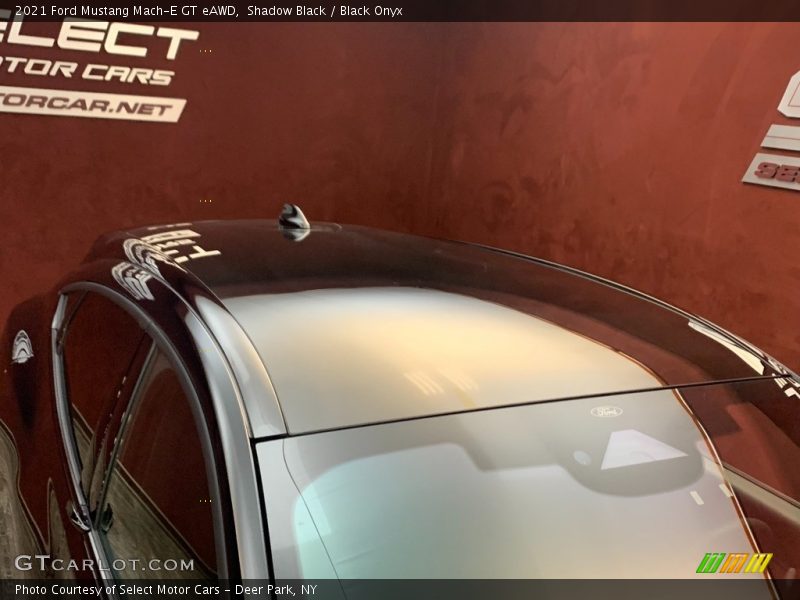Shadow Black / Black Onyx 2021 Ford Mustang Mach-E GT eAWD