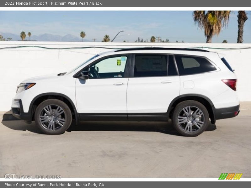  2022 Pilot Sport Platinum White Pearl