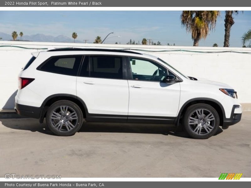  2022 Pilot Sport Platinum White Pearl