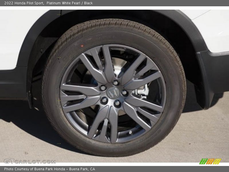 2022 Pilot Sport Wheel