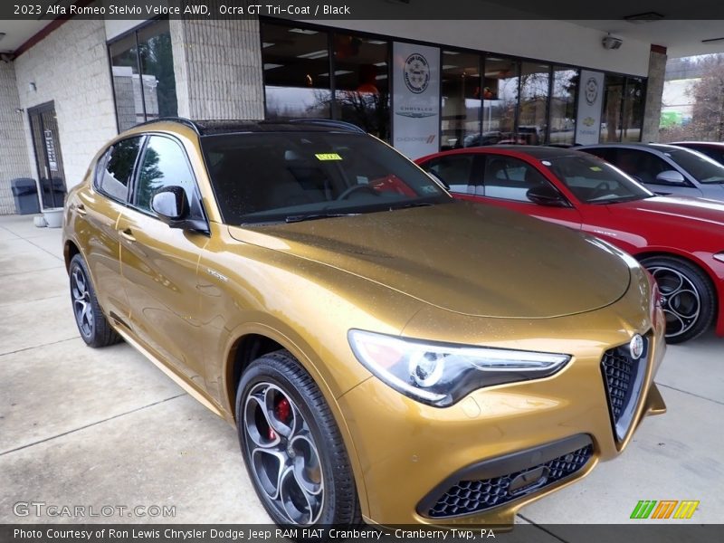 Front 3/4 View of 2023 Stelvio Veloce AWD