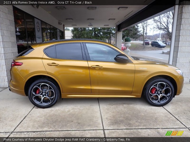  2023 Stelvio Veloce AWD Ocra GT Tri-Coat