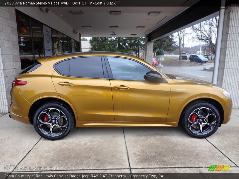  2023 Stelvio Veloce AWD Ocra GT Tri-Coat
