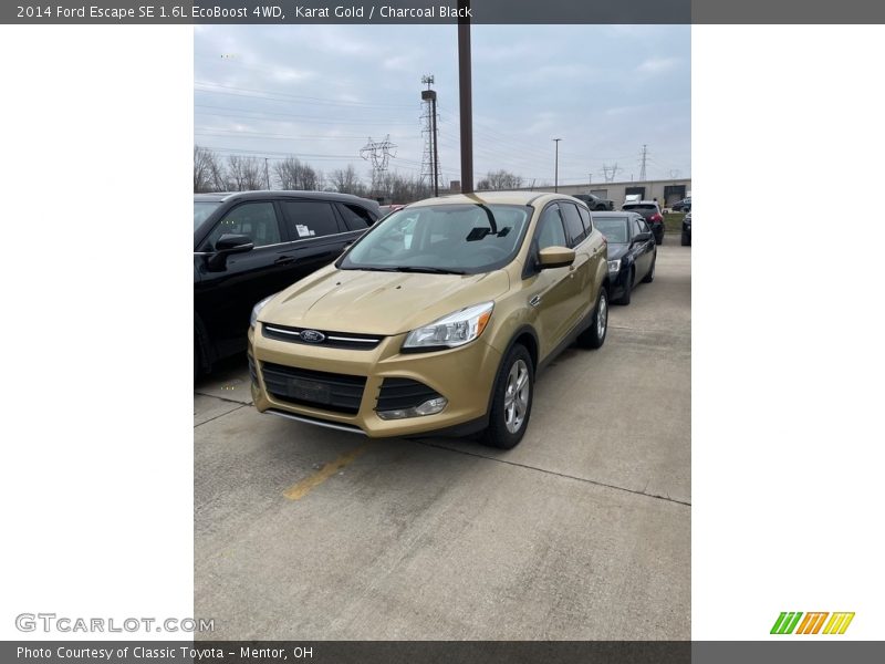 Karat Gold / Charcoal Black 2014 Ford Escape SE 1.6L EcoBoost 4WD