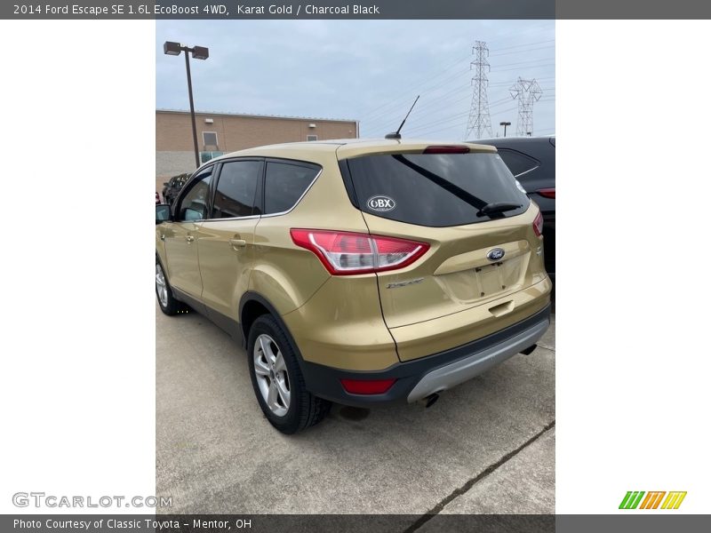 Karat Gold / Charcoal Black 2014 Ford Escape SE 1.6L EcoBoost 4WD