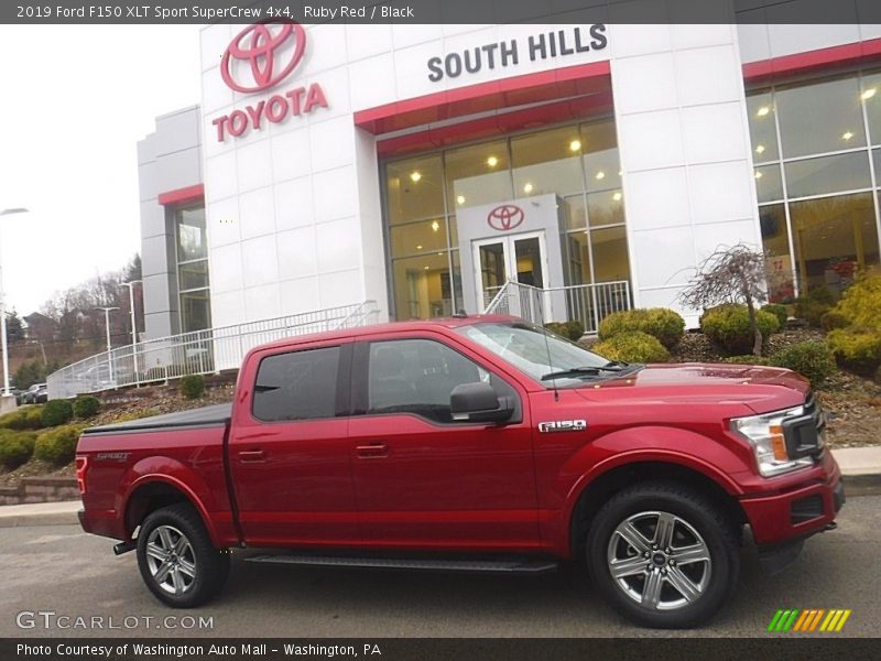 Ruby Red / Black 2019 Ford F150 XLT Sport SuperCrew 4x4