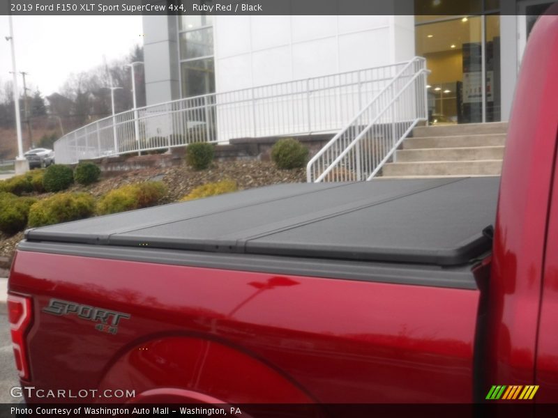 Ruby Red / Black 2019 Ford F150 XLT Sport SuperCrew 4x4