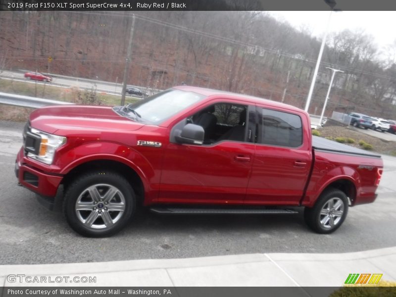 Ruby Red / Black 2019 Ford F150 XLT Sport SuperCrew 4x4