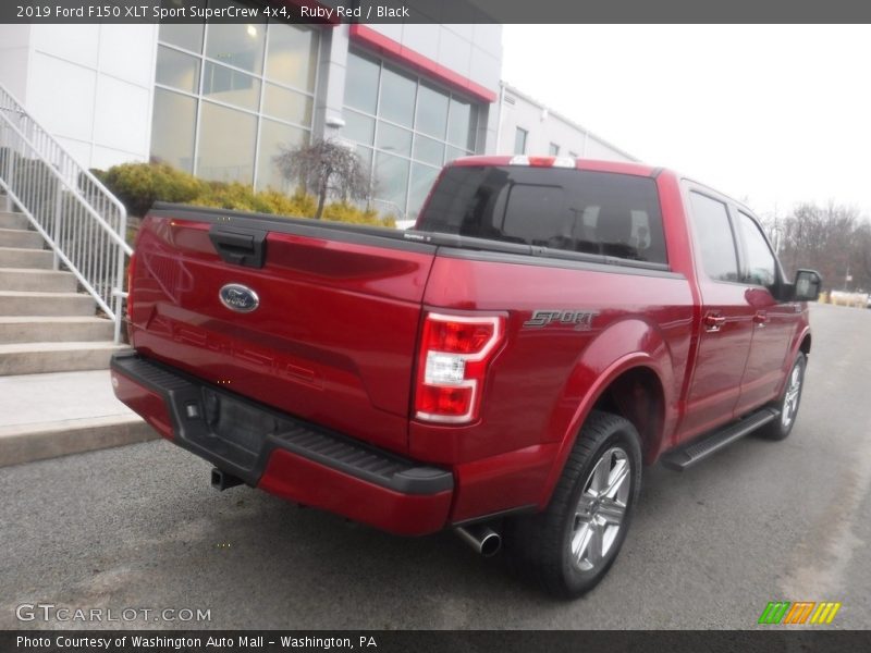 Ruby Red / Black 2019 Ford F150 XLT Sport SuperCrew 4x4