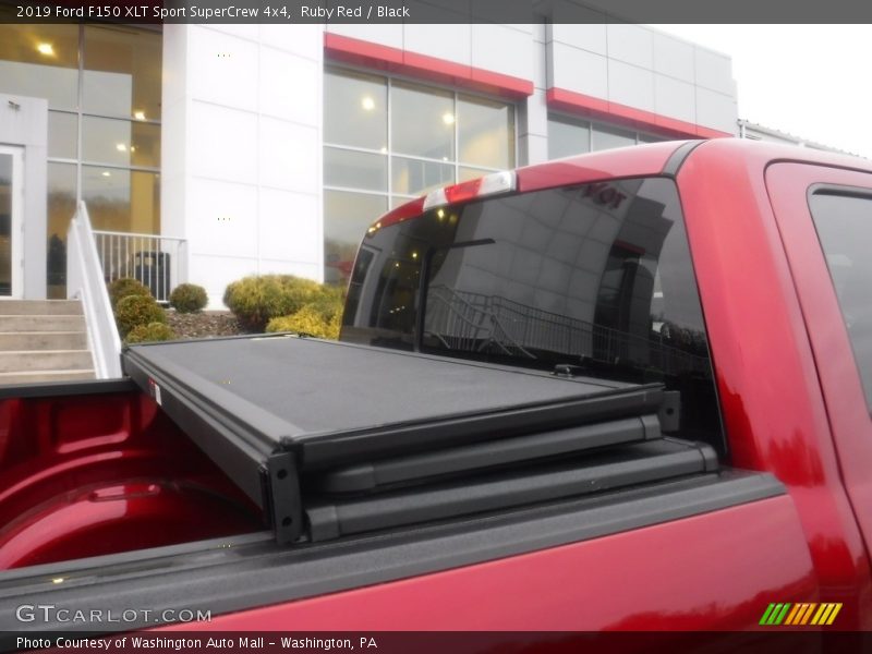 Ruby Red / Black 2019 Ford F150 XLT Sport SuperCrew 4x4