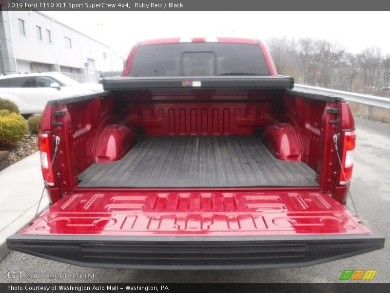 Ruby Red / Black 2019 Ford F150 XLT Sport SuperCrew 4x4
