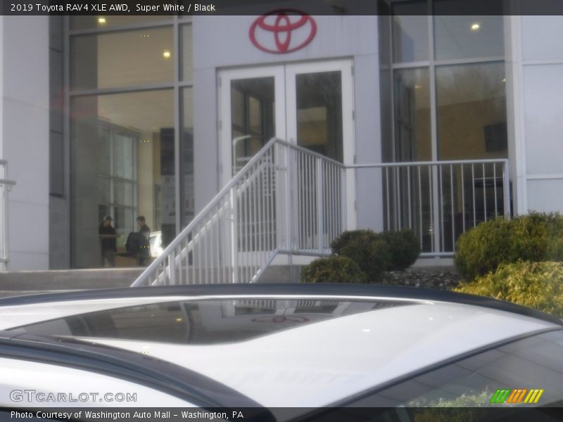 Super White / Black 2019 Toyota RAV4 XLE AWD