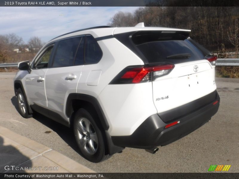 Super White / Black 2019 Toyota RAV4 XLE AWD