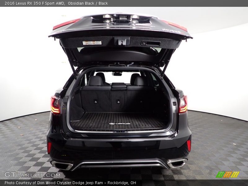  2016 RX 350 F Sport AWD Trunk
