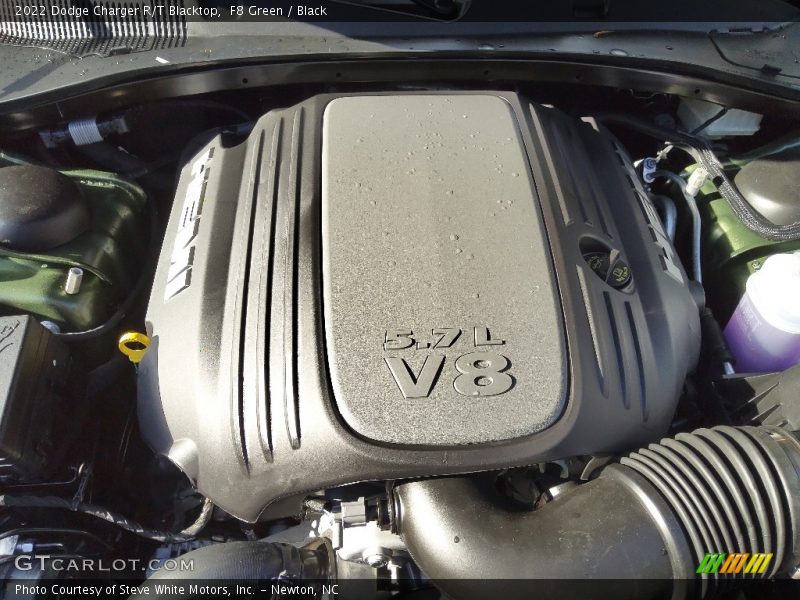 F8 Green / Black 2022 Dodge Charger R/T Blacktop