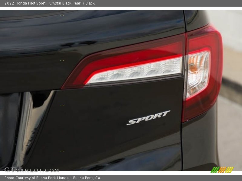  2022 Pilot Sport Logo