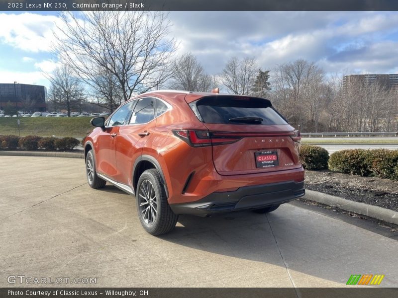 Cadmium Orange / Black 2023 Lexus NX 250