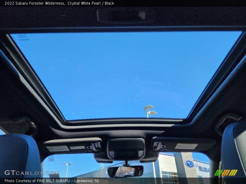 Crystal White Pearl / Black 2022 Subaru Forester Wilderness