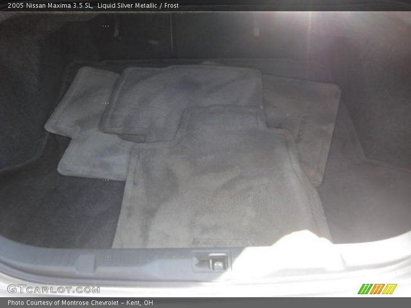 Liquid Silver Metallic / Frost 2005 Nissan Maxima 3.5 SL