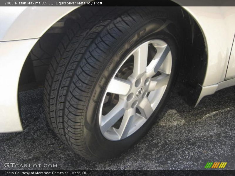 Liquid Silver Metallic / Frost 2005 Nissan Maxima 3.5 SL