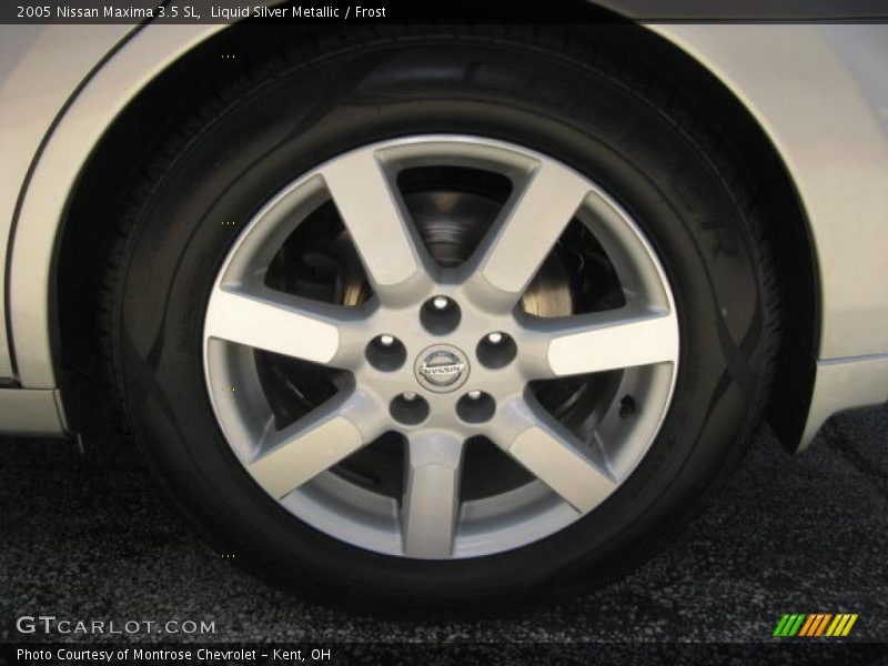 Liquid Silver Metallic / Frost 2005 Nissan Maxima 3.5 SL