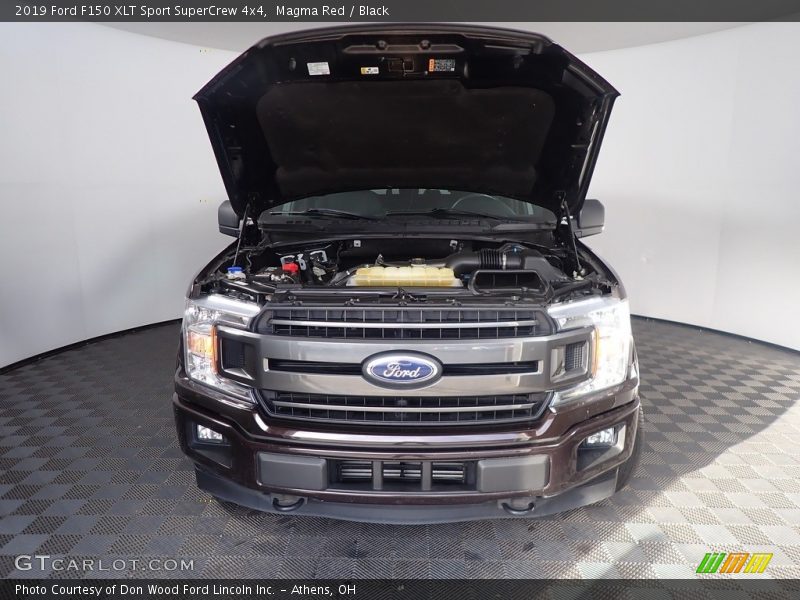 Magma Red / Black 2019 Ford F150 XLT Sport SuperCrew 4x4
