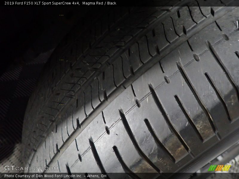 Magma Red / Black 2019 Ford F150 XLT Sport SuperCrew 4x4