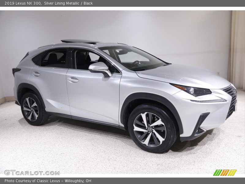  2019 NX 300 Silver Lining Metallic