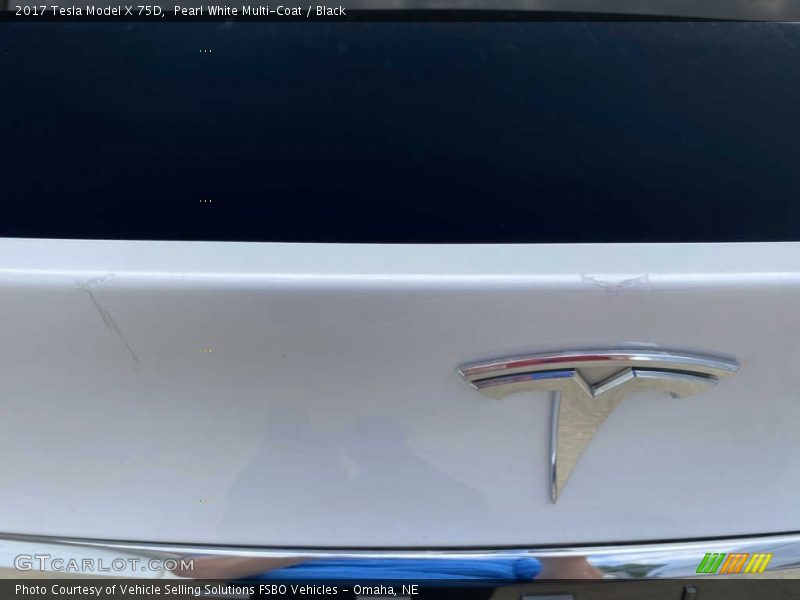 Pearl White Multi-Coat / Black 2017 Tesla Model X 75D