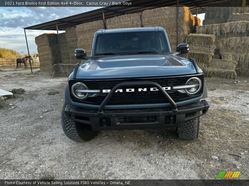 Cactus Gray / Black Onyx 2021 Ford Bronco First Edition 4x4 4-Door