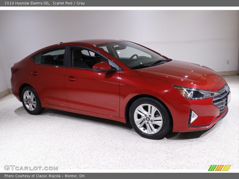 Scarlet Red / Gray 2019 Hyundai Elantra SEL
