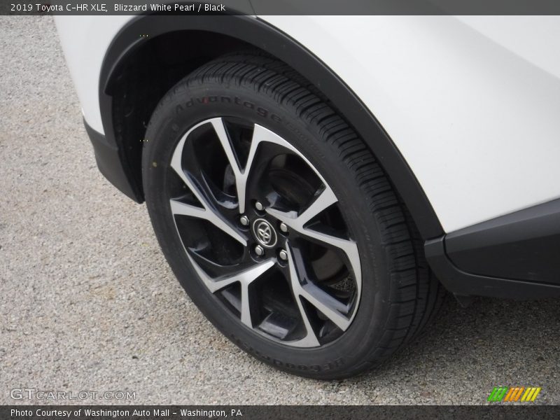 Blizzard White Pearl / Black 2019 Toyota C-HR XLE