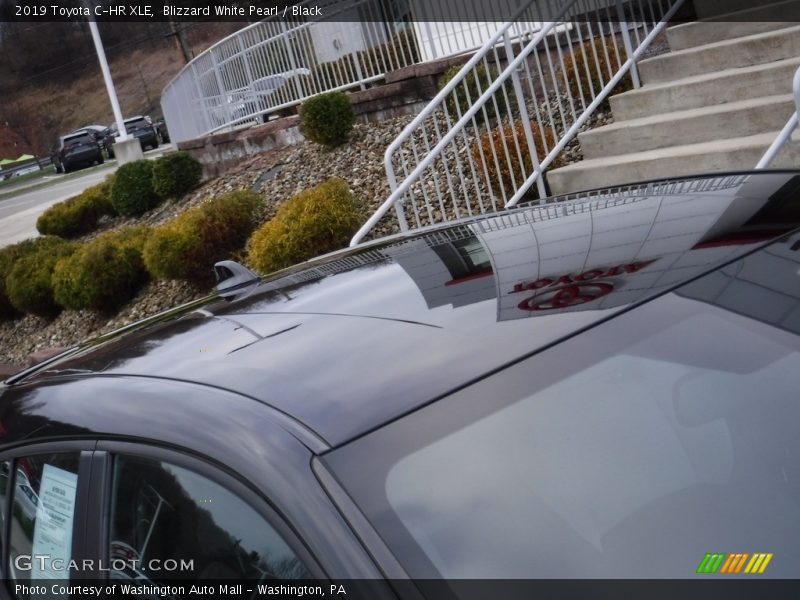 Blizzard White Pearl / Black 2019 Toyota C-HR XLE