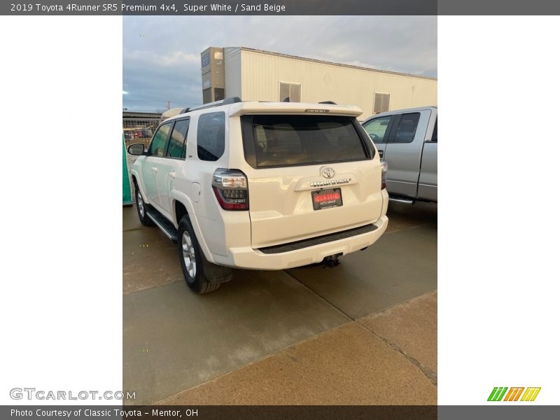 Super White / Sand Beige 2019 Toyota 4Runner SR5 Premium 4x4