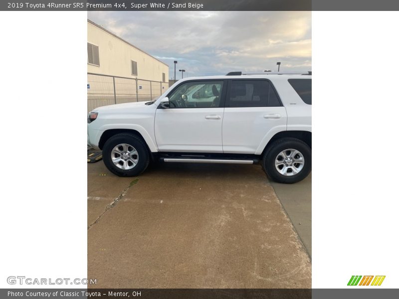 Super White / Sand Beige 2019 Toyota 4Runner SR5 Premium 4x4