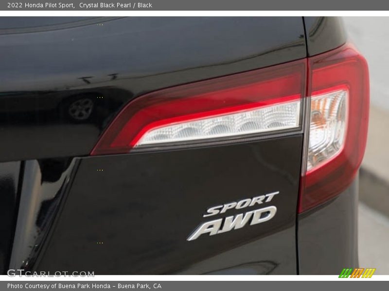  2022 Pilot Sport Logo