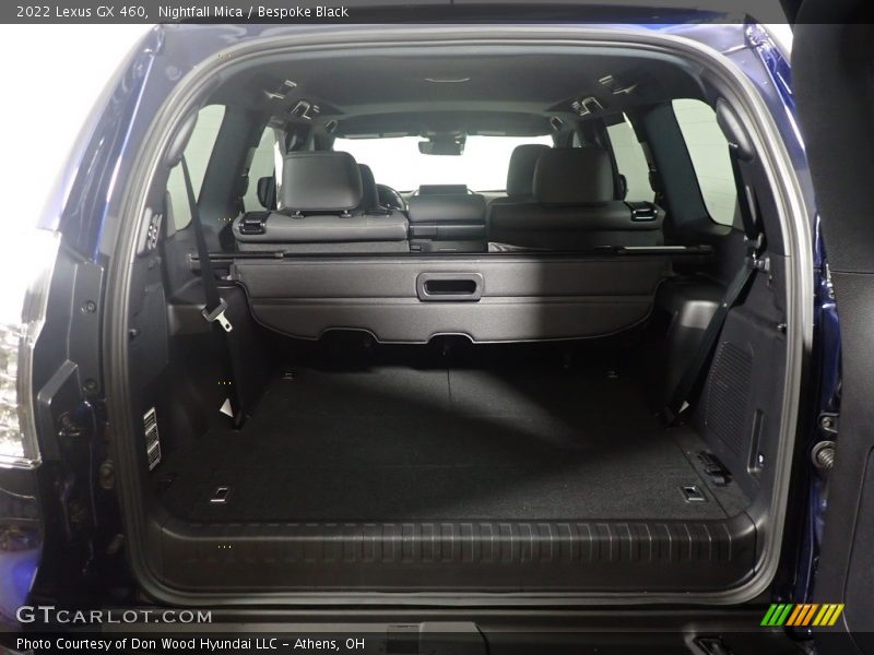  2022 GX 460 Trunk