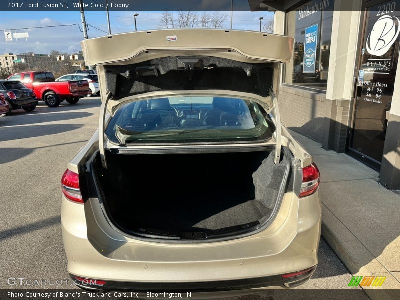 White Gold / Ebony 2017 Ford Fusion SE