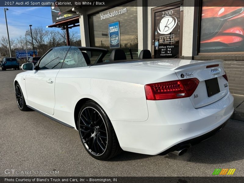 Ibis White / Black 2017 Audi A5 Sport quattro Cabriolet