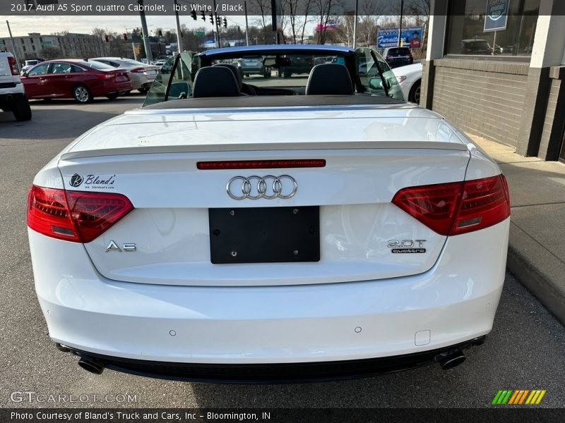 Ibis White / Black 2017 Audi A5 Sport quattro Cabriolet