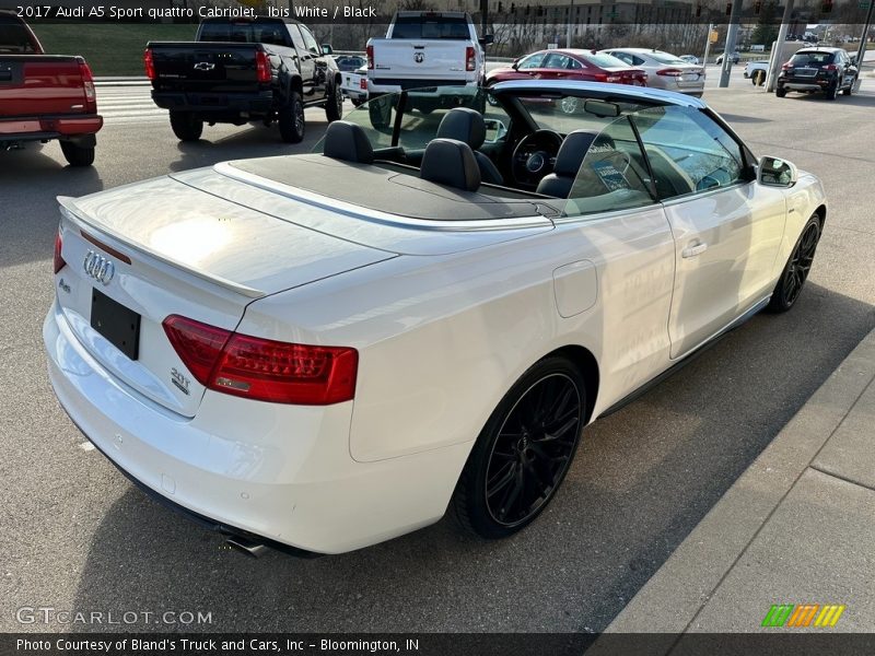 Ibis White / Black 2017 Audi A5 Sport quattro Cabriolet