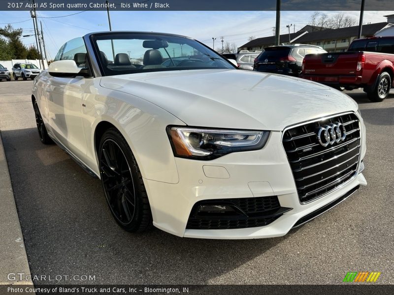  2017 A5 Sport quattro Cabriolet Ibis White