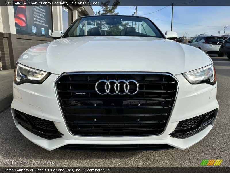  2017 A5 Sport quattro Cabriolet Ibis White