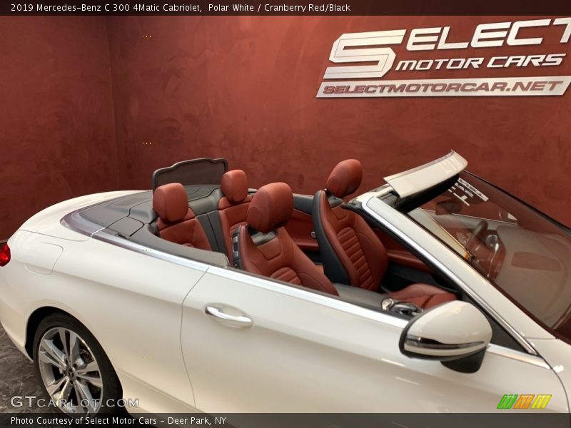 Polar White / Cranberry Red/Black 2019 Mercedes-Benz C 300 4Matic Cabriolet