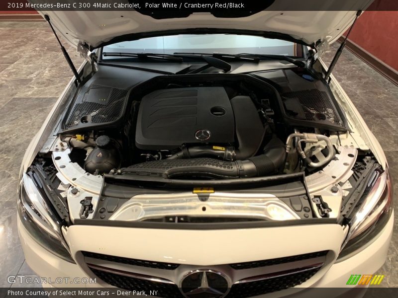 Polar White / Cranberry Red/Black 2019 Mercedes-Benz C 300 4Matic Cabriolet