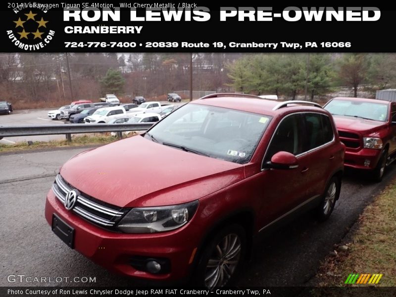 Wild Cherry Metallic / Black 2014 Volkswagen Tiguan SE 4Motion