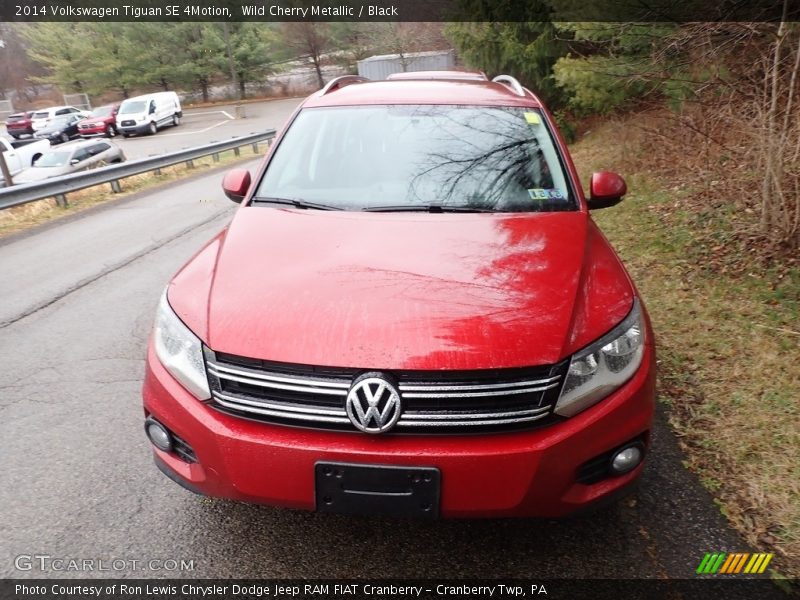 Wild Cherry Metallic / Black 2014 Volkswagen Tiguan SE 4Motion