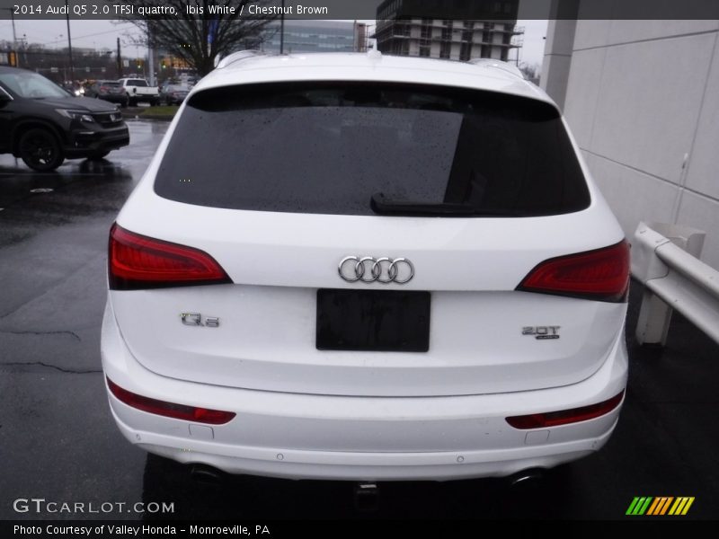 Ibis White / Chestnut Brown 2014 Audi Q5 2.0 TFSI quattro