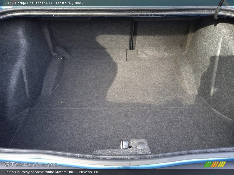 Frostbite / Black 2022 Dodge Challenger R/T