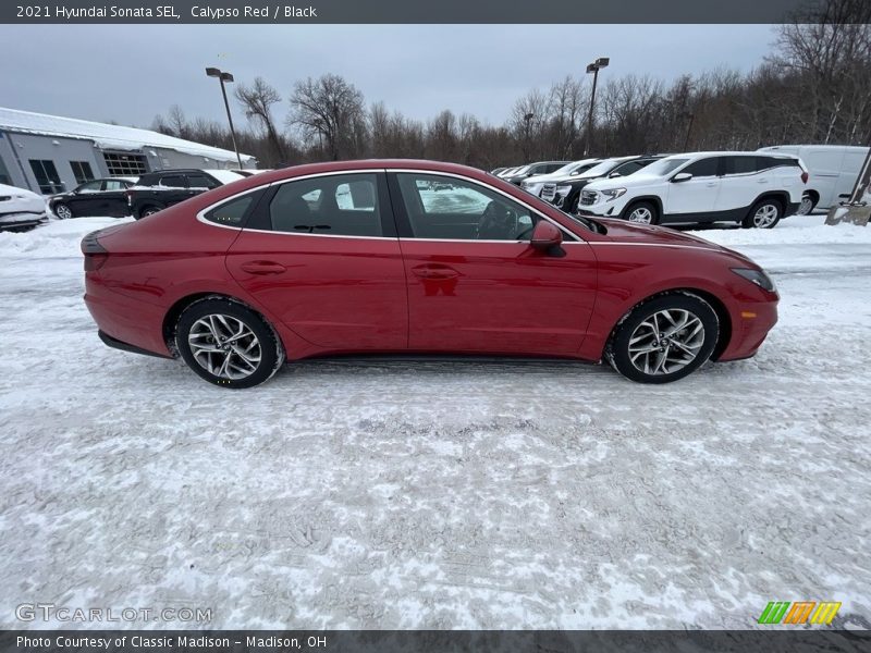 Calypso Red / Black 2021 Hyundai Sonata SEL